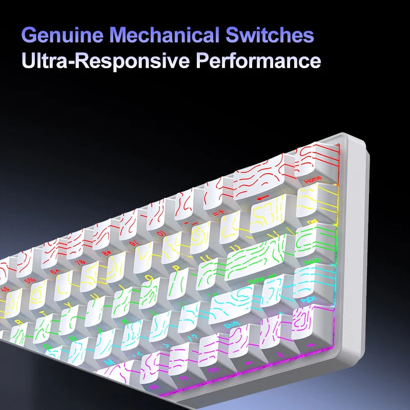 A68 65% Wired Mechanical Gaming Keyboard 68 Keys RGB Hot Swappable USB-C NKRO Compact Keyboard for Gaming Office